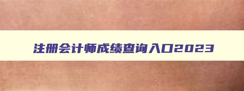 注册会计师成绩查询入口2023