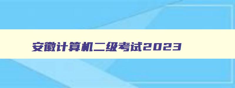 安徽计算机二级考试2023