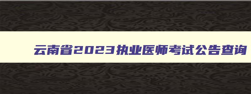 云南省2023执业医师考试公告查询