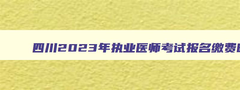 四川2023年执业医师考试报名缴费时间和标准时间一样吗,四川2023年执业医师考试报名缴费时间和标准时间