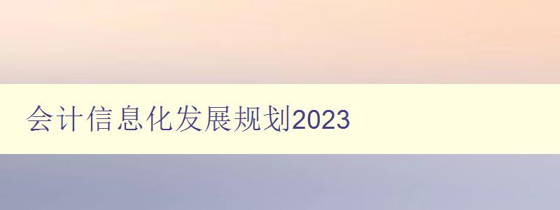 会计信息化发展规划2023