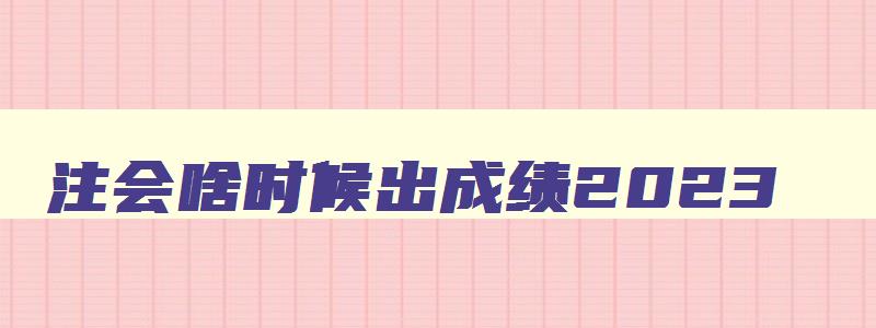 注会啥时候出成绩2023