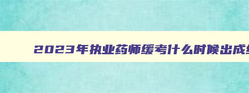 2023年执业药师缓考什么时候出成绩,2023年执业药师成绩怎么查询啊