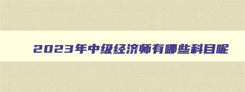 2023年中级经济师有哪些科目呢