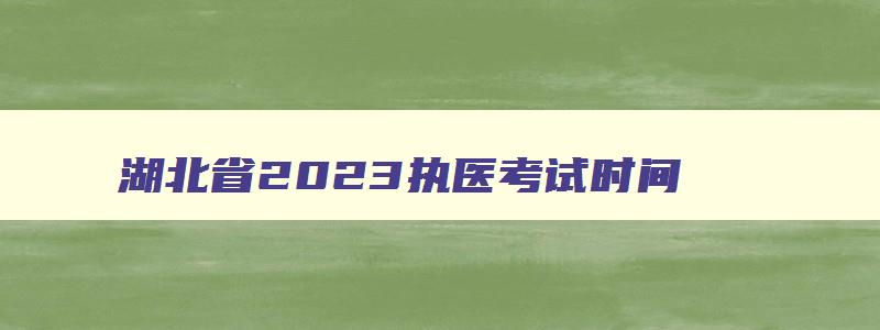 湖北省2023执医考试时间,湖北2023执业医师考试安排