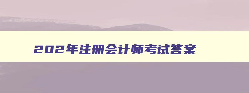 202年注册会计师考试答案,202年注册会计师考试