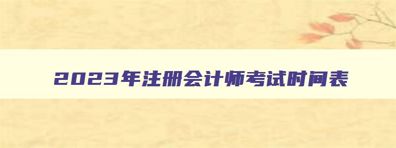 2023年注册会计师考试时间表,22年注册会计师考试时间