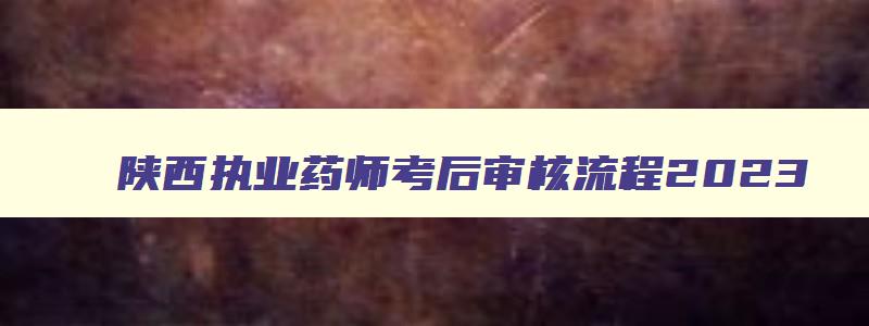 陕西执业药师考后审核流程2023,陕西执业药师准考证打印时间2023