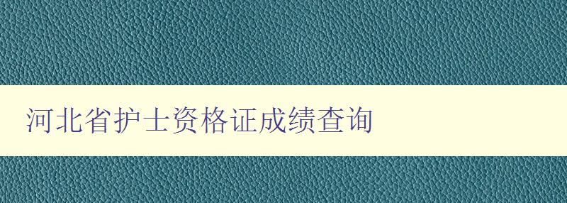 河北省护士资格证成绩查询