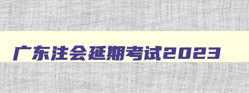 广东注会延期考试2023