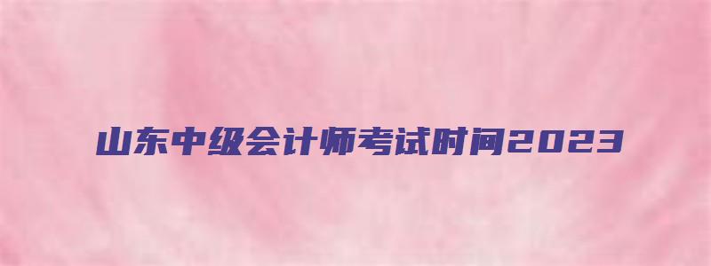 山东中级会计师考试时间2023（山东中级会计师考试时间2023年）