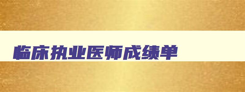 临床执业医师成绩单