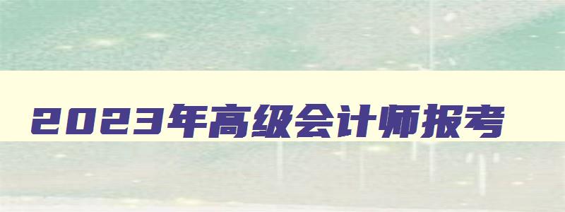 2023年高级会计师报考