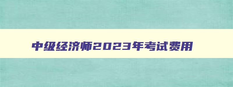 中级经济师2023年考试费用