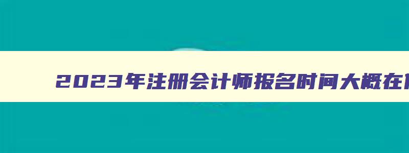 2023年注册会计师报名时间大概在什么时候考试,2023年注册会计师报名时间大概在什么时候