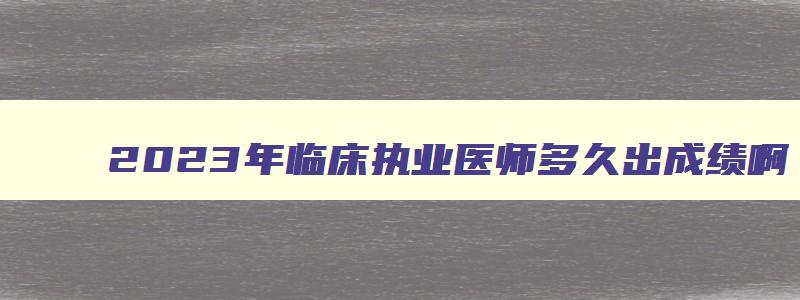 2023年临床执业医师多久出成绩啊