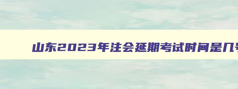 山东2023年注会延期考试时间是几号