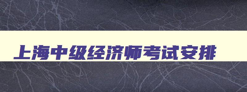 上海中级经济师考试安排