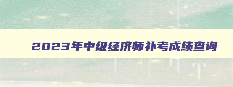 2023年中级经济师补考成绩查询,2023年中级经济师