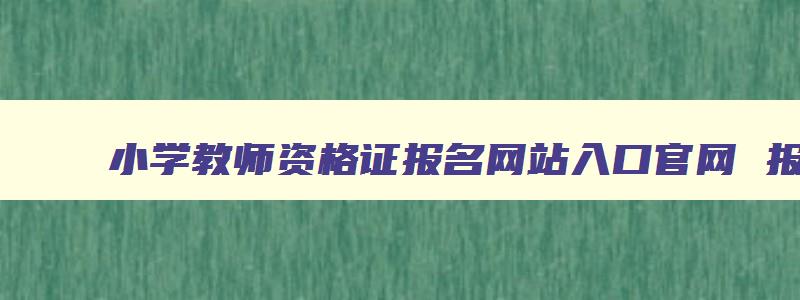 小学教师资格证报名网站入口官网