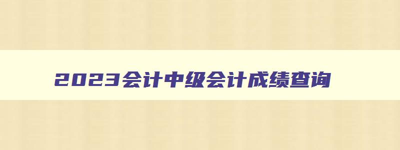 2023会计中级会计成绩查询