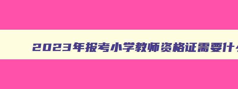 2023年报考小学教师资格证需要什么学历才能报考