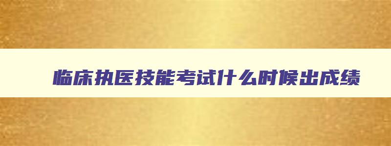 临床执医技能考试什么时候出成绩