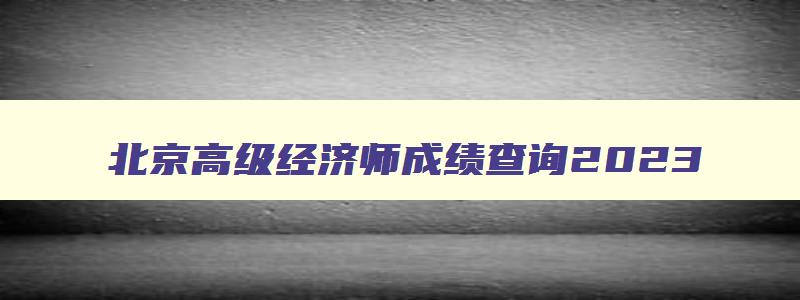 北京高级经济师成绩查询2023