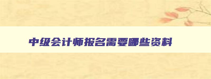 中级会计师报名需要哪些资料,中级会计师