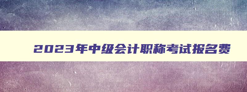 2023年中级会计职称考试报名费,2023年中级会计职称考试报名