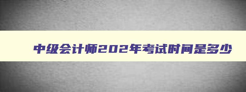 中级会计师202年考试时间是多少,中级会计师202年考试时间