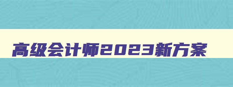 高级会计师2023新方案