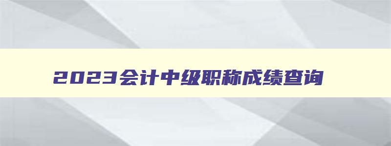 2023会计中级职称成绩查询