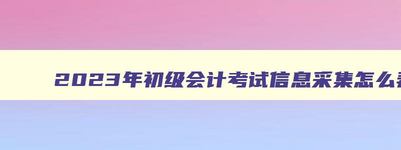 2023年初级会计考试信息采集怎么弄的