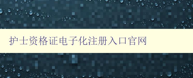 护士资格证电子化注册入口官网