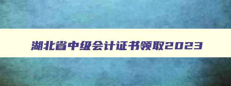 湖北省中级会计证书领取2023,湖北省中级会计证书领取2023
