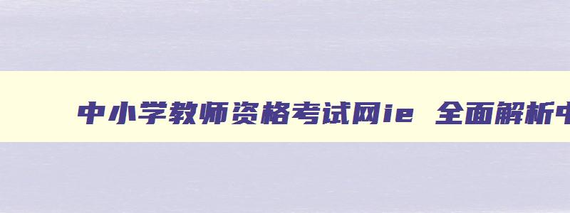 中小学教师资格考试网ie