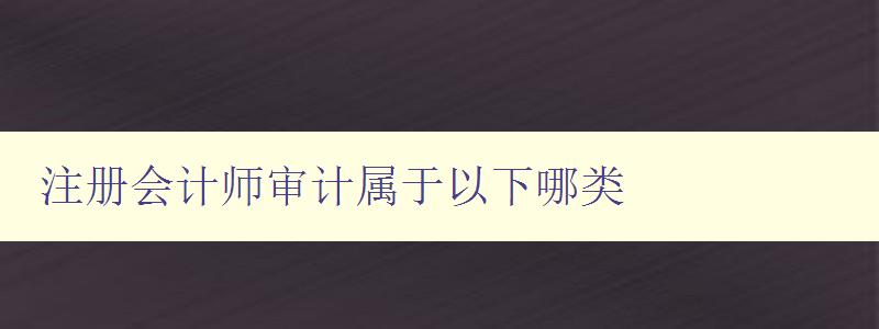 注册会计师审计属于以下哪类