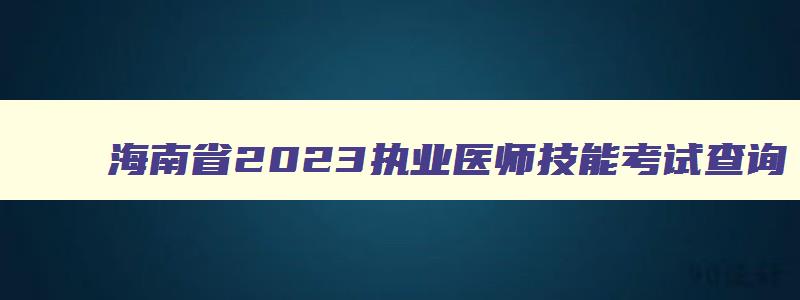 海南省2023执业医师技能考试查询