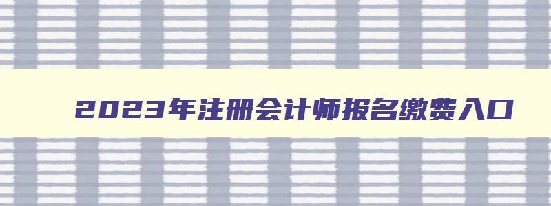 2023年注册会计师报名缴费入口