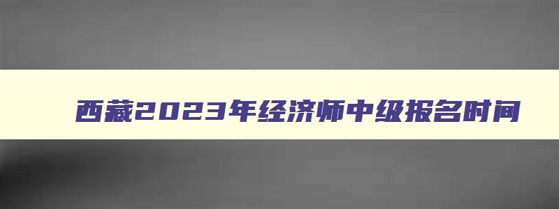 西藏2023年经济师中级报名时间