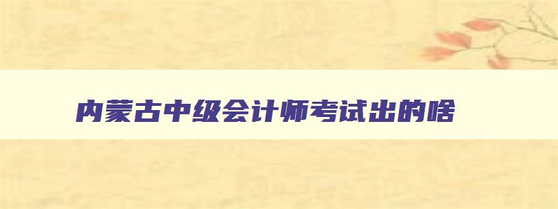 内蒙古中级会计师考试出的啥,内蒙古中级会计师考试