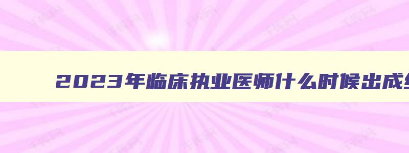 2023年临床执业医师什么时候出成绩