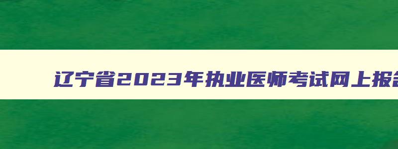 辽宁省2023年执业医师考试网上报名时间表,辽宁省2023年执业医师考试网上报名时间