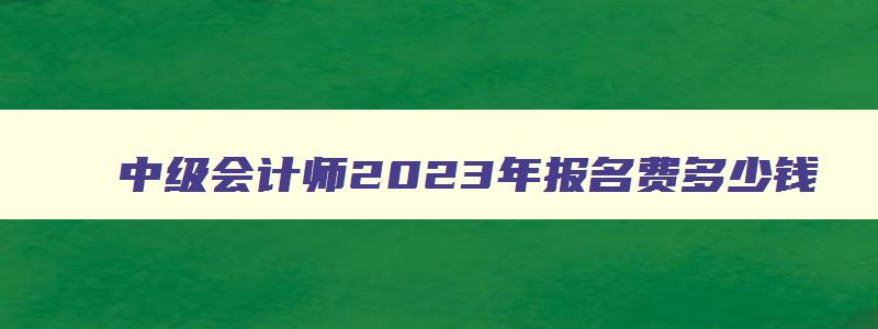 中级会计师2023年报名费多少钱,2023年中级会计职称报名费多少钱