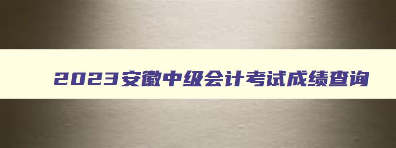 2023安徽中级会计考试成绩查询