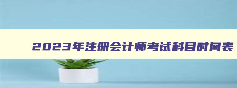 2023年注册会计师考试科目时间表,2023年注册会计师考试时间怎么选择