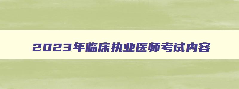 2023年临床执业医师考试内容