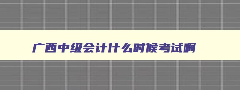 广西中级会计什么时候考试啊,广西中级会计什么时候考试