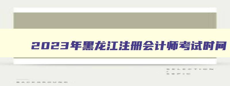 2023年黑龙江注册会计师考试时间,2023年黑龙江注册会计师